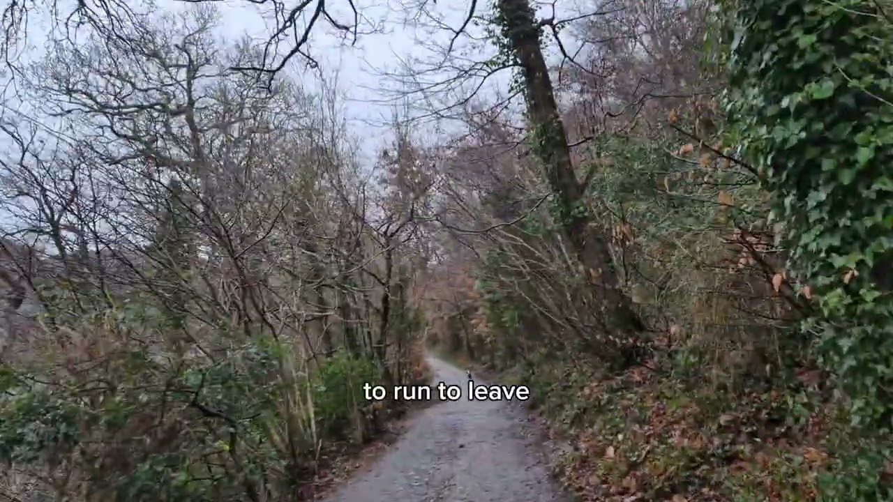 Making peace with PTSD 