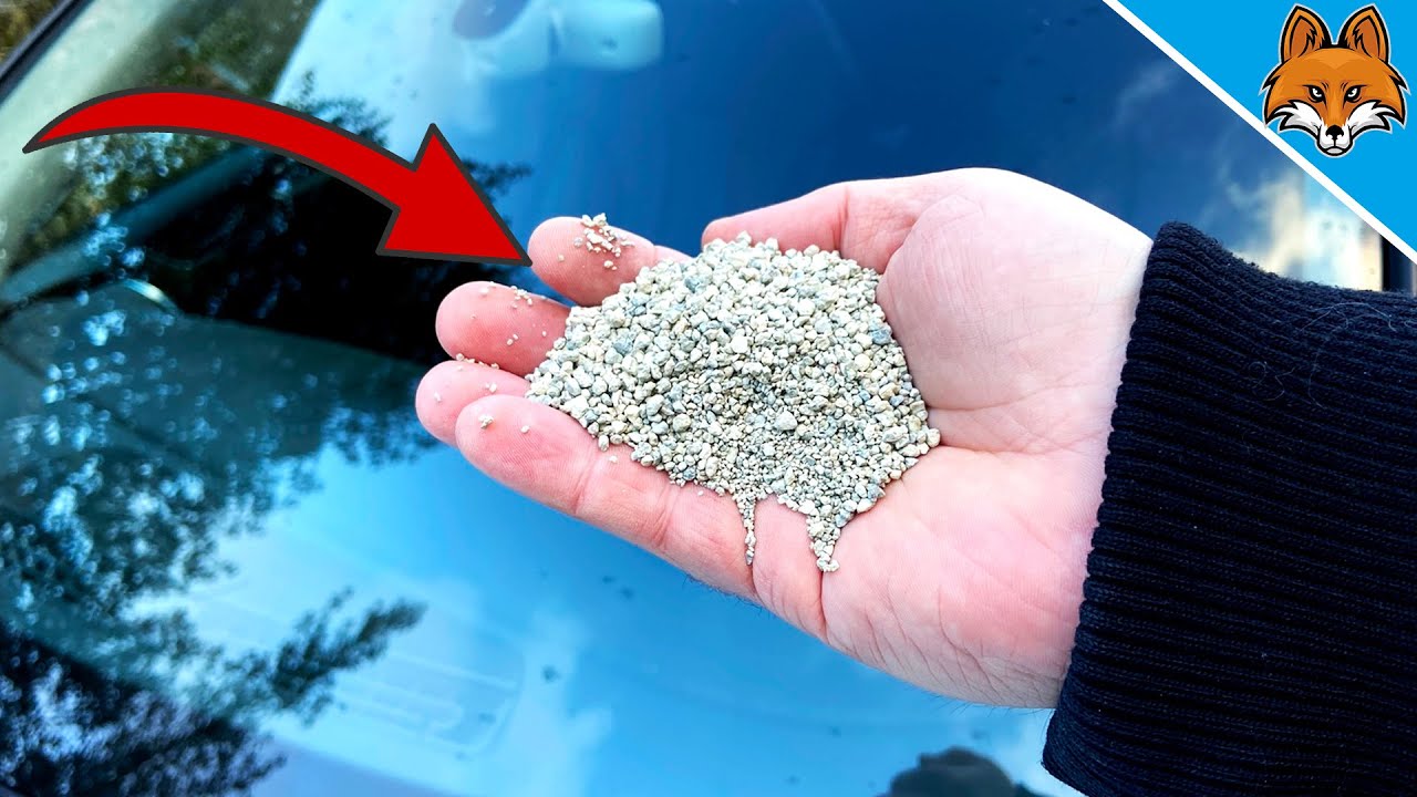 Verteile KATZENSTREU in deinem Auto und STAUNE WAS PASSIERT 💥 (Unglaublich) 🤯
