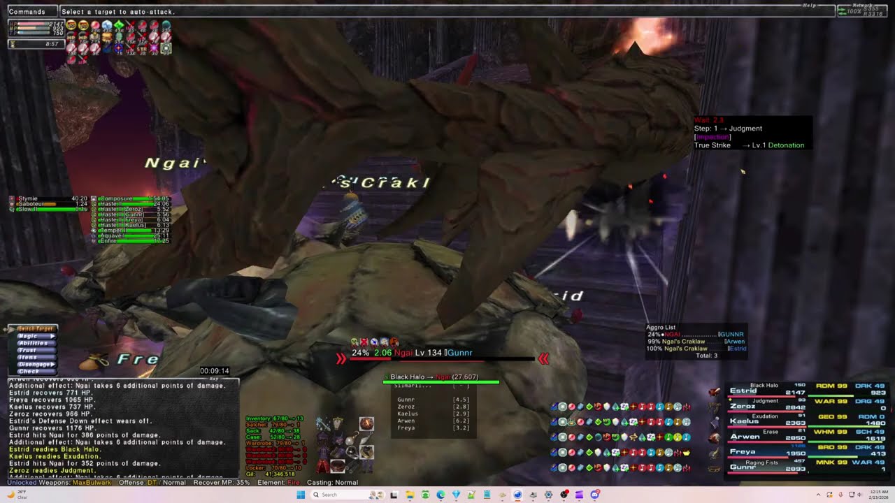 FFXI ngai v25 6 box