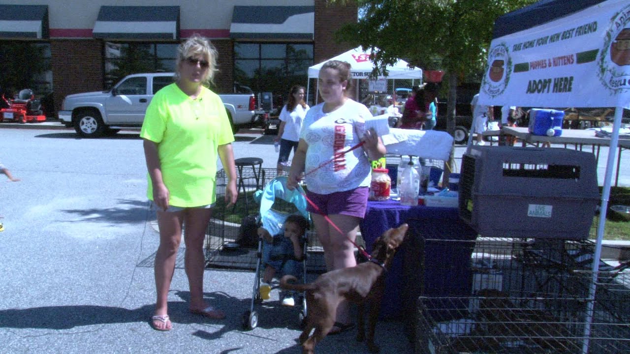 Save A Life Animal Ark Rescue