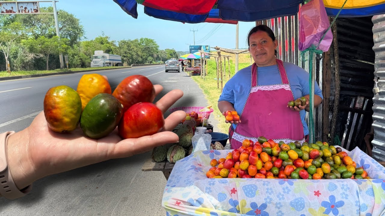 LLEGO LA TEMPORADA DE JOCOTE DE CORONA EN EL SALVADOR 🇸🇻 