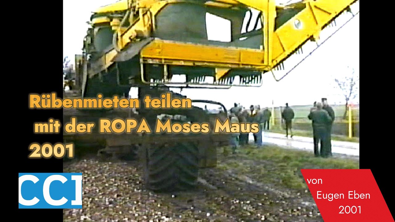 Rübenmieten teilen mit der ROPA Moses-Maus Aufnahmen aus 2001 #riccic
