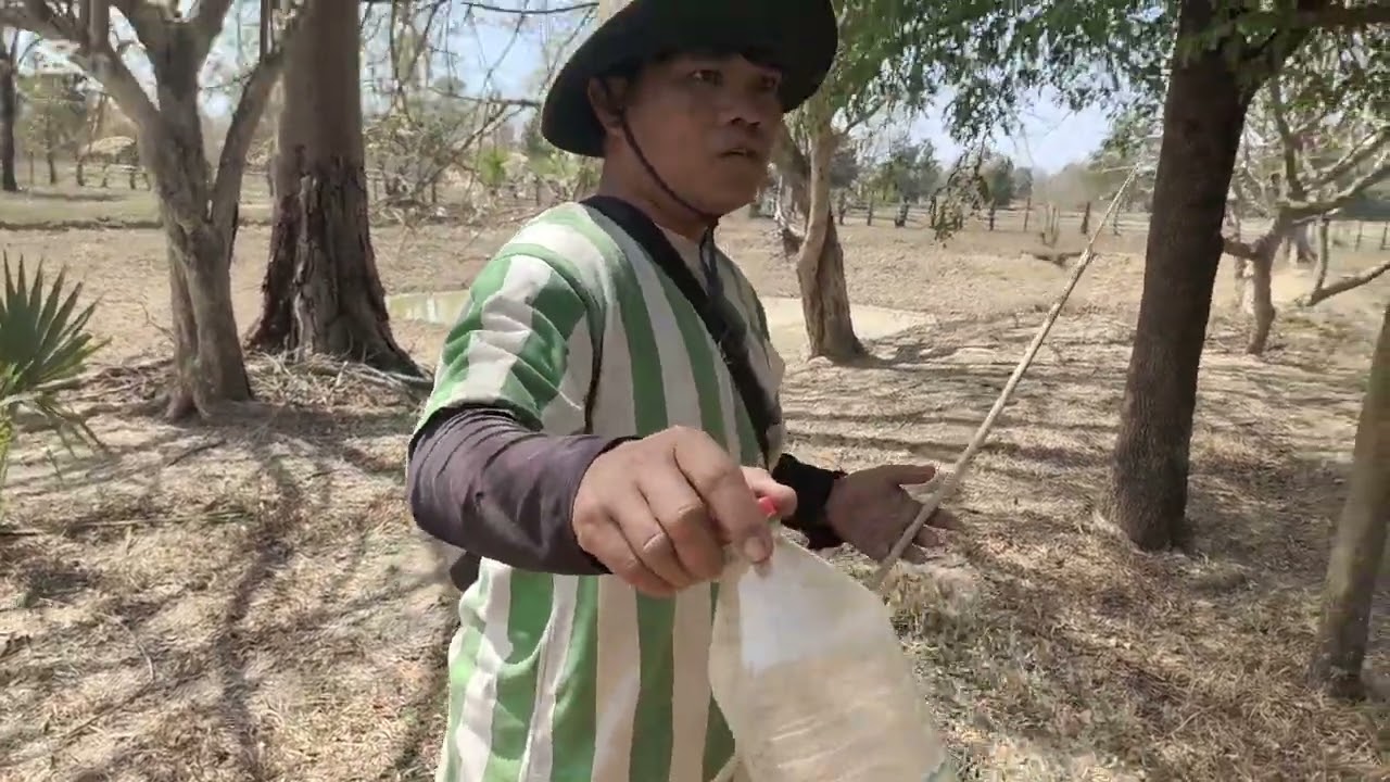 วิถีหากินคนบ้านนอก #ວິຖີຫາກິນຄົນບ້ານນອກ