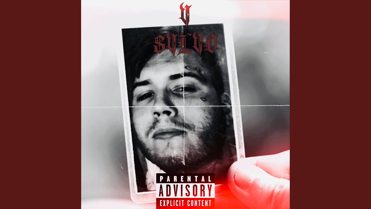 V SVLVO (Furboy Remix)