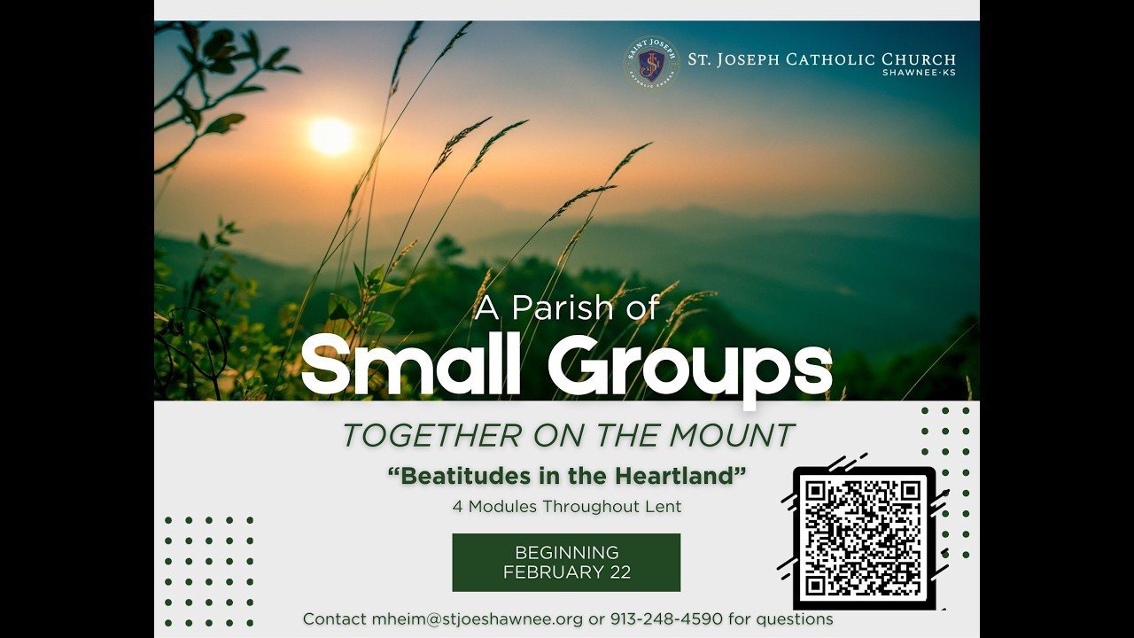 February 22nd Homily for Small Groups