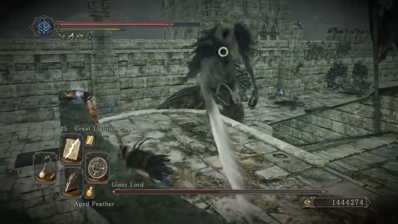 Dark Souls 2 sotfs soul farming + infinite soul vessel,Great hero soul,Fire seed and Devine blessing