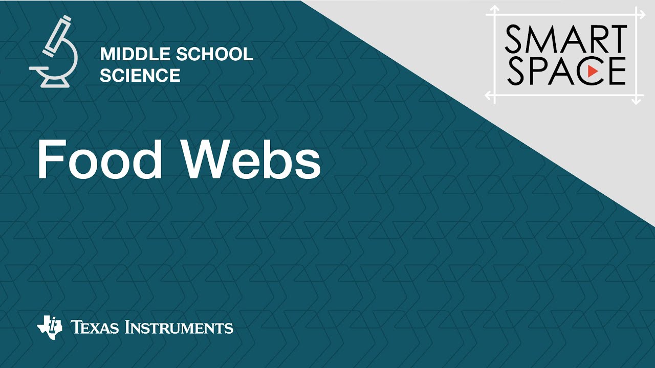 Food Webs: Middle School Science Video Lessons