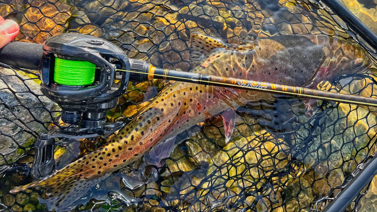 Baitcast Fishing for Trout