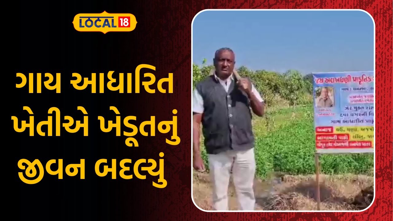 Patan Agriculture News |  ગાય આધારિત ખેતીએ ખેડૂતનું જીવન બદલ્યું | Gujarati Samachar | Local18