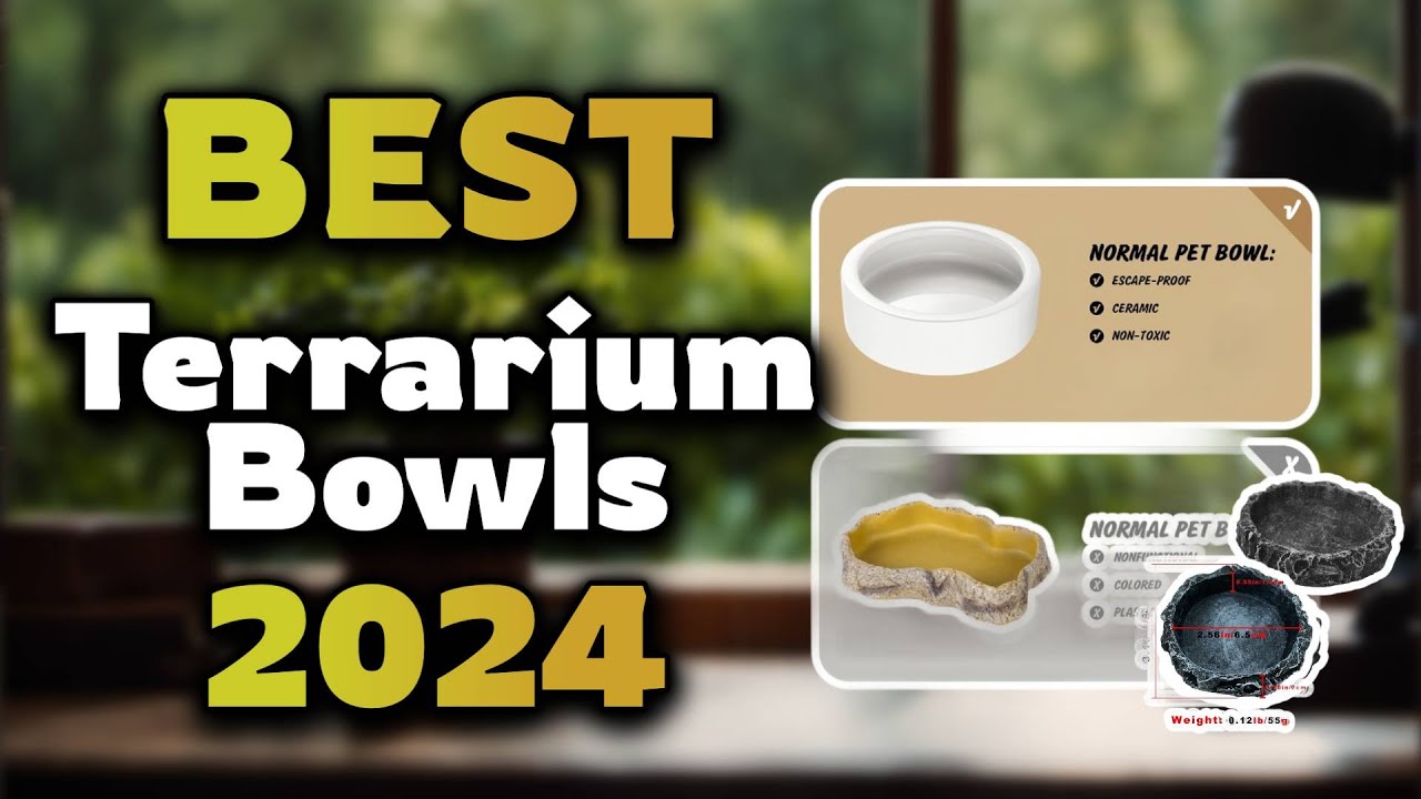 Top Best Terrarium Bowls in 2024 & Buying Guide - Must Watch Before Buying!