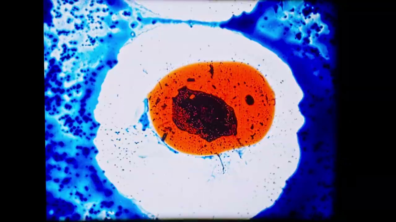Stained Glass Eye