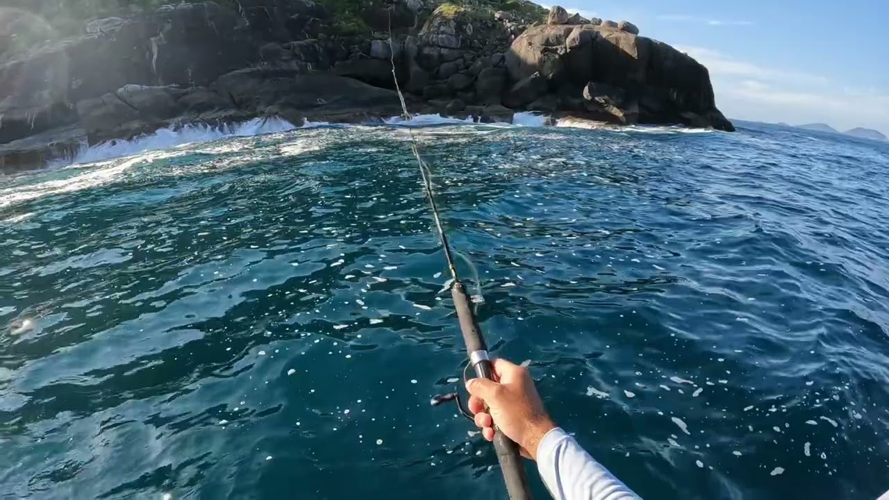 Vcs não vão acreditar no tanto de anchova nessa pescaria, buzyfish pescarias en ilhabela