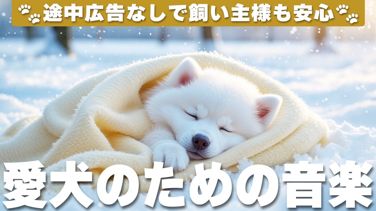 愛犬が落ち着く音楽 (12時間広告なし) 🐶 犬がリラックスする音楽 | ピアノ音楽 / vol.770