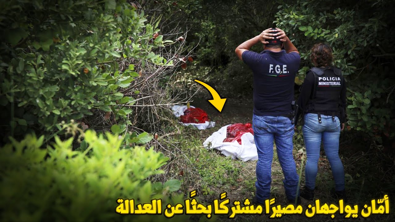 وثائقي تحقيقات جرائم القتل.. قضية بلا حل!! أمهات تبحثن عن العدالة بعد مقتل أبنائهما لملاحقة القاتل!!
