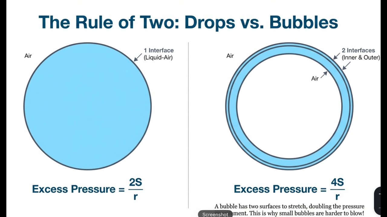 E6 : Mechanical Properties of Fluids