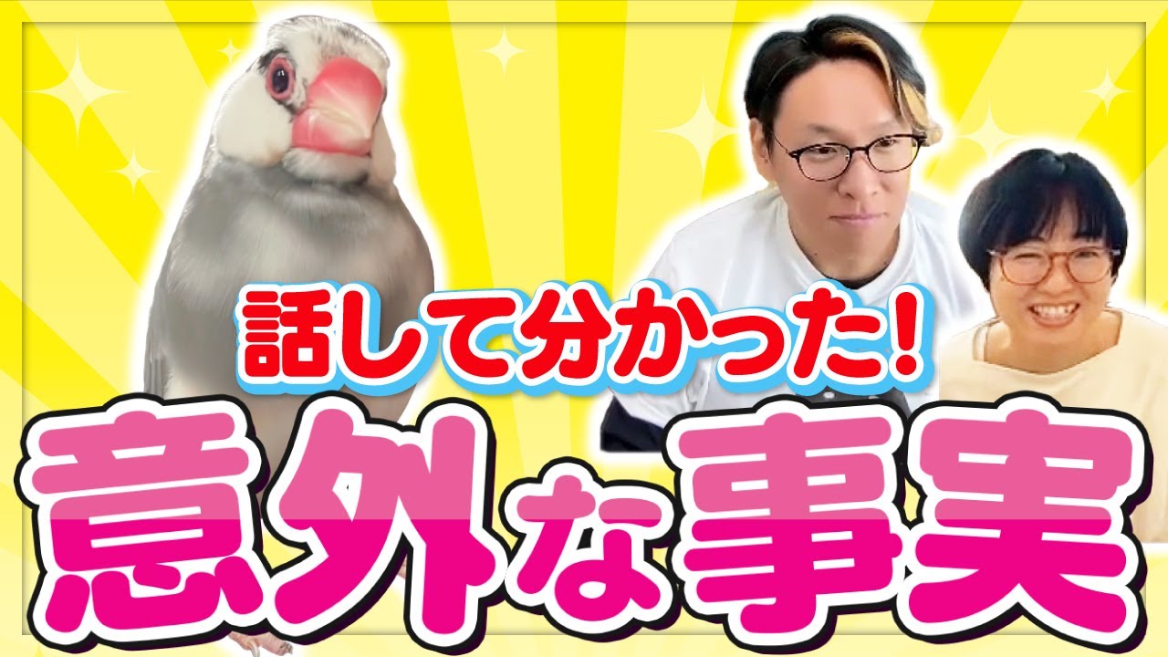 【動物とお話】亡くなったパートナー（文鳥）のことをどう思ってる？