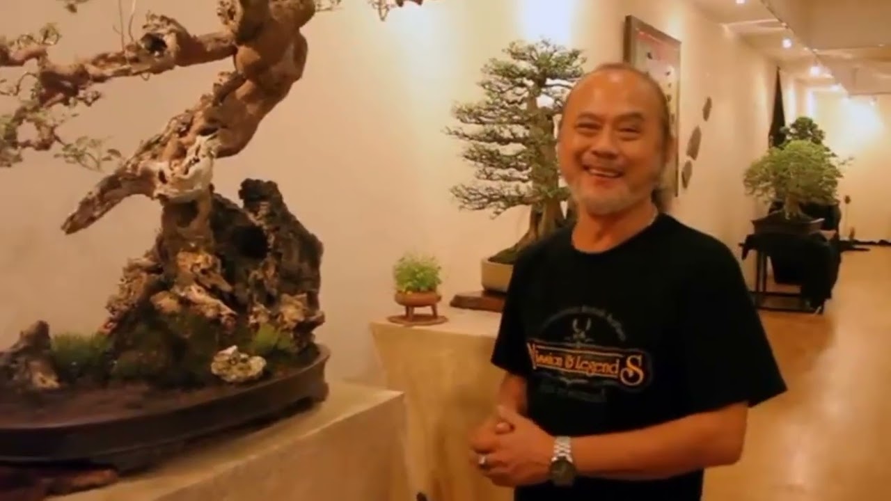 BONSAI ITU HOBI SEHAT, KATA ROBERT STEVEN PENDIRI KOSBI
