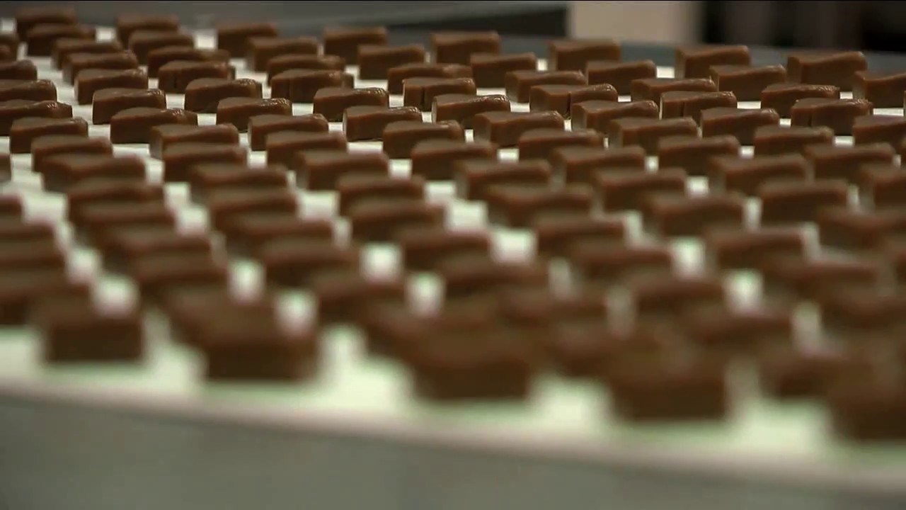 Valentine's Day with Sanders - ABC 12