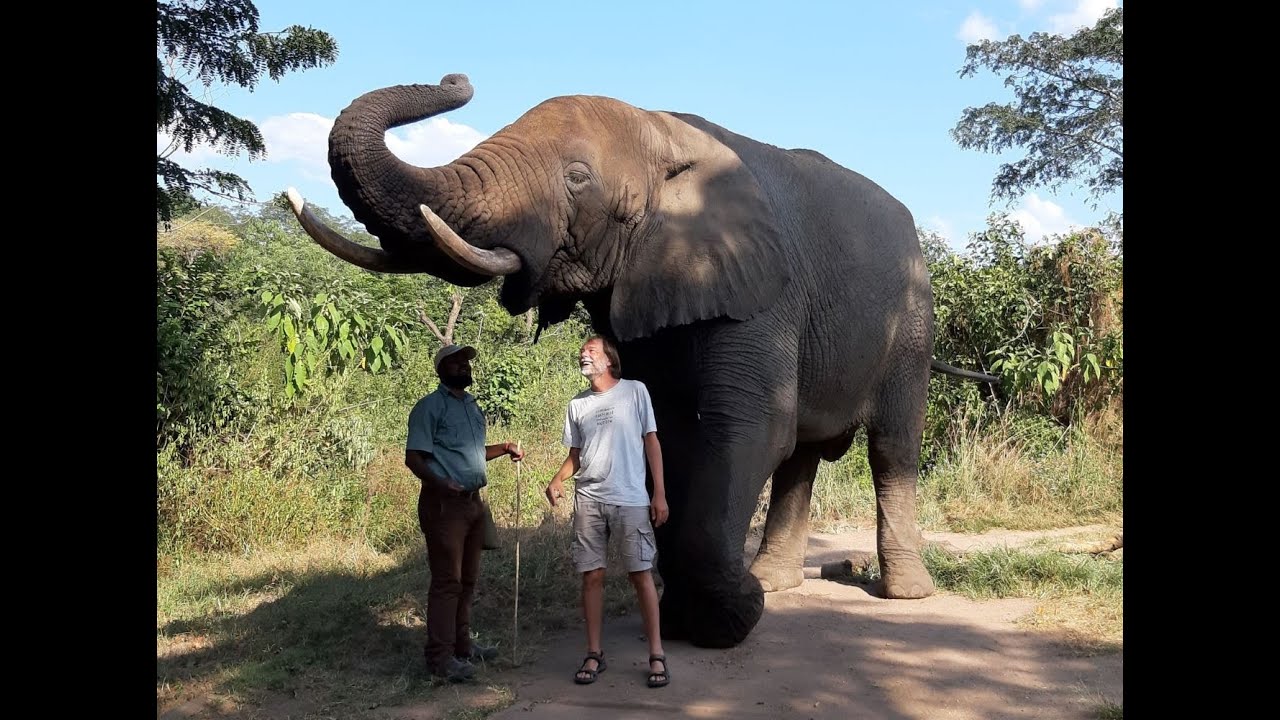 Unterwegs im südlichen Afrika – Menschen, Tiere, Landschaften