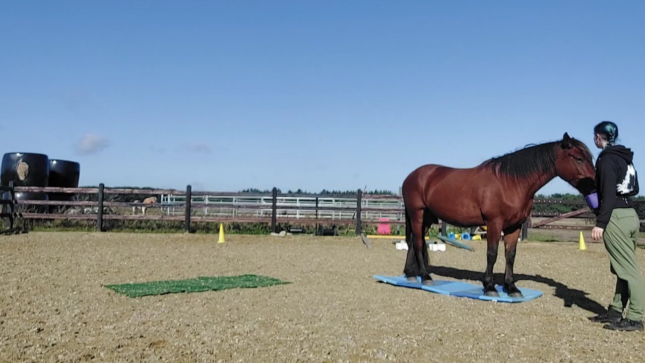 Mat training 14 September 2025