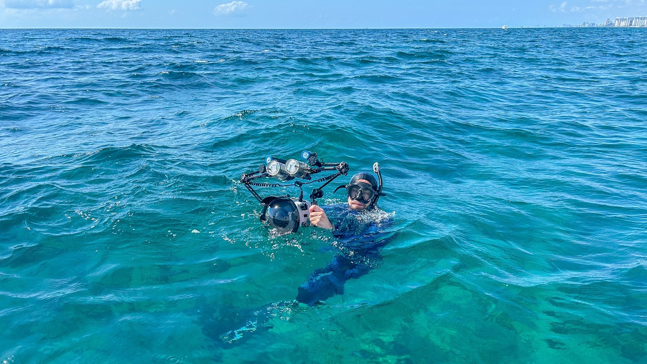 Freediving Coral Reefs on Florida's Atlantic Coast