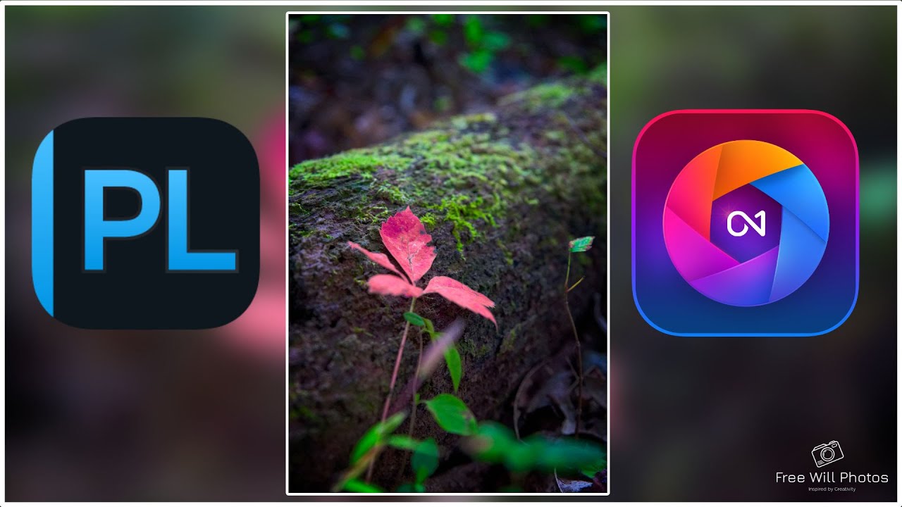 DxO Photolab 7 to ON1 Photo Raw Workflow and ON1 Photo Editing