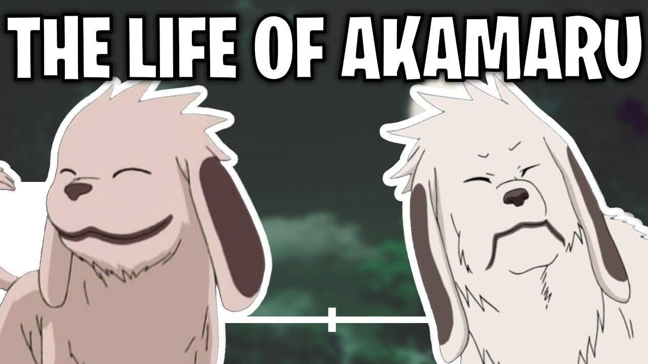 The Life Of Akamaru (Naruto)