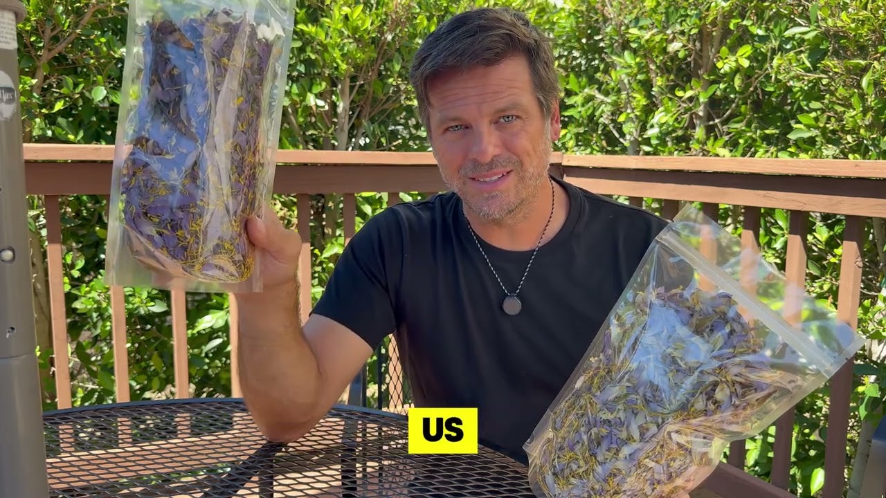 Blue Lotus on the market is not traditional Egyptian Blue Lotus. Learn to tell the difference.