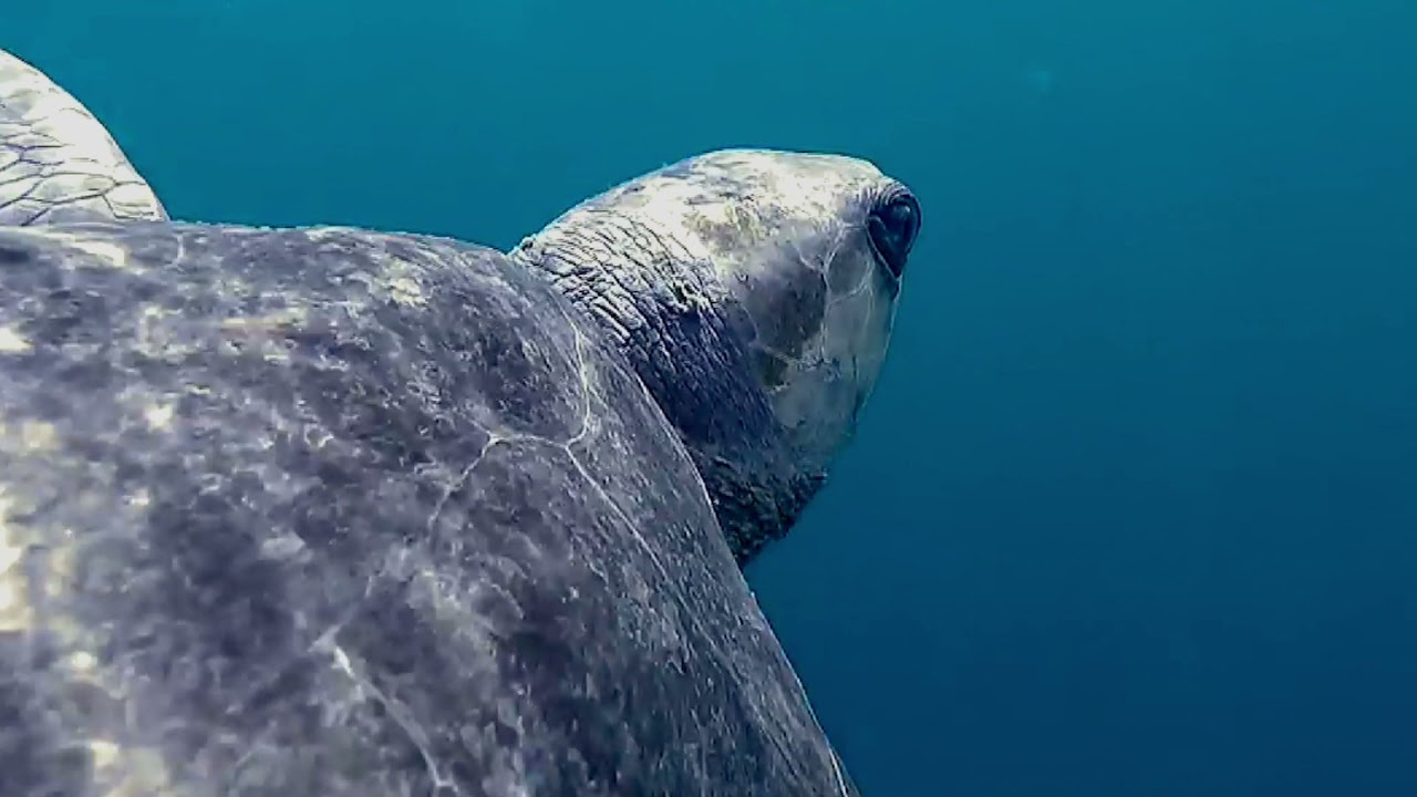 Protecting Ghana's Maritime Environment