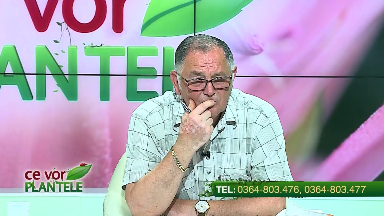 Cum putem scăpa de limacși?
