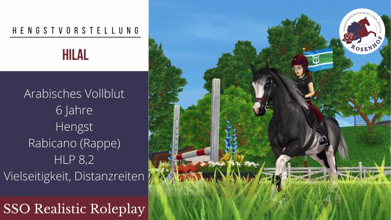 Hengstvorstellung: Hilal | SSO RRP | Linda Wolfpie
