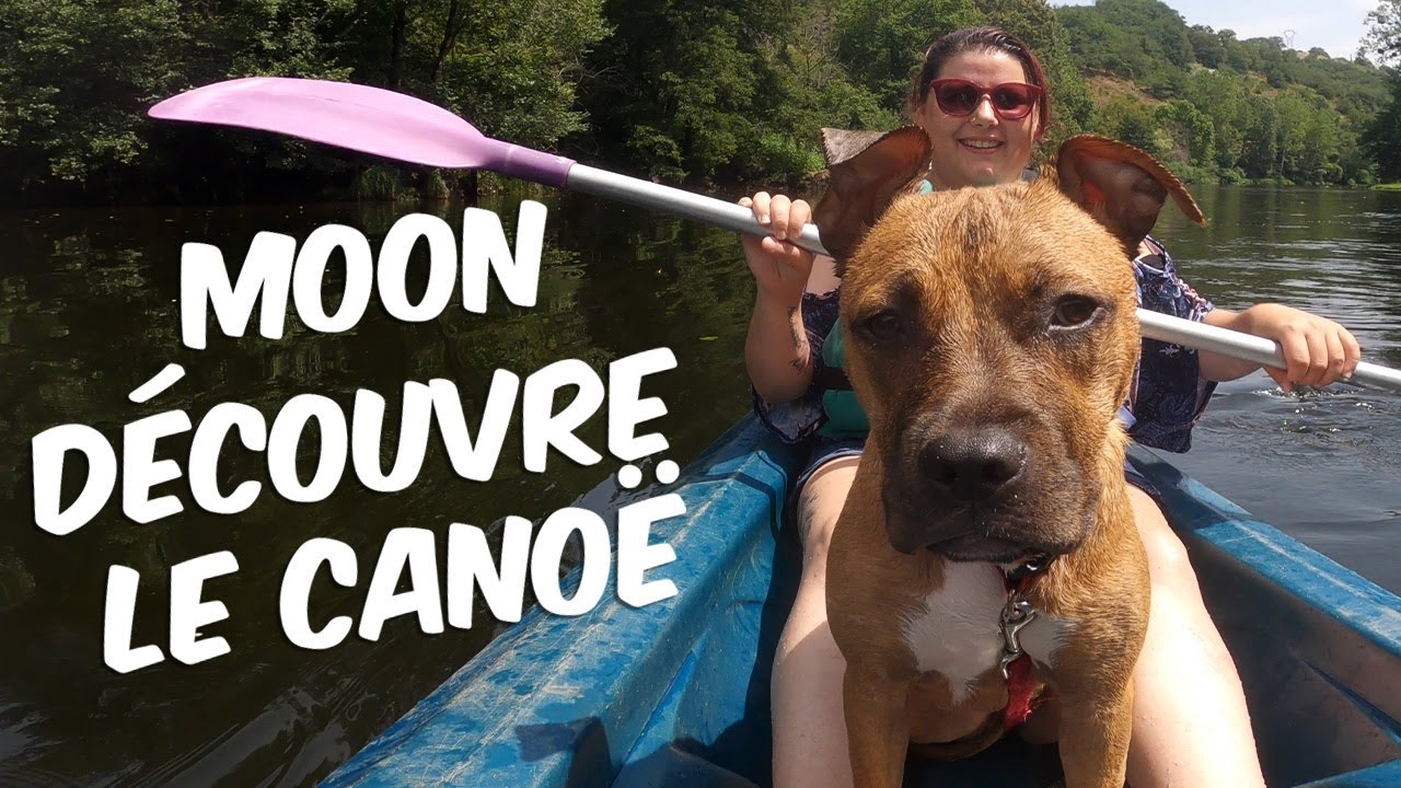 Moon | Découverte du canoë ! #Doglife