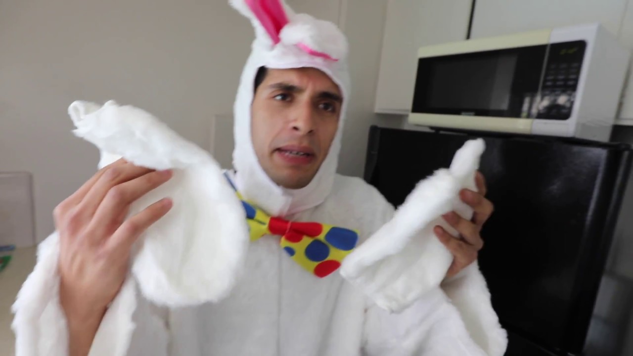 THE EASTER BUNNY - NOT A NETFLIX ORIGINAL