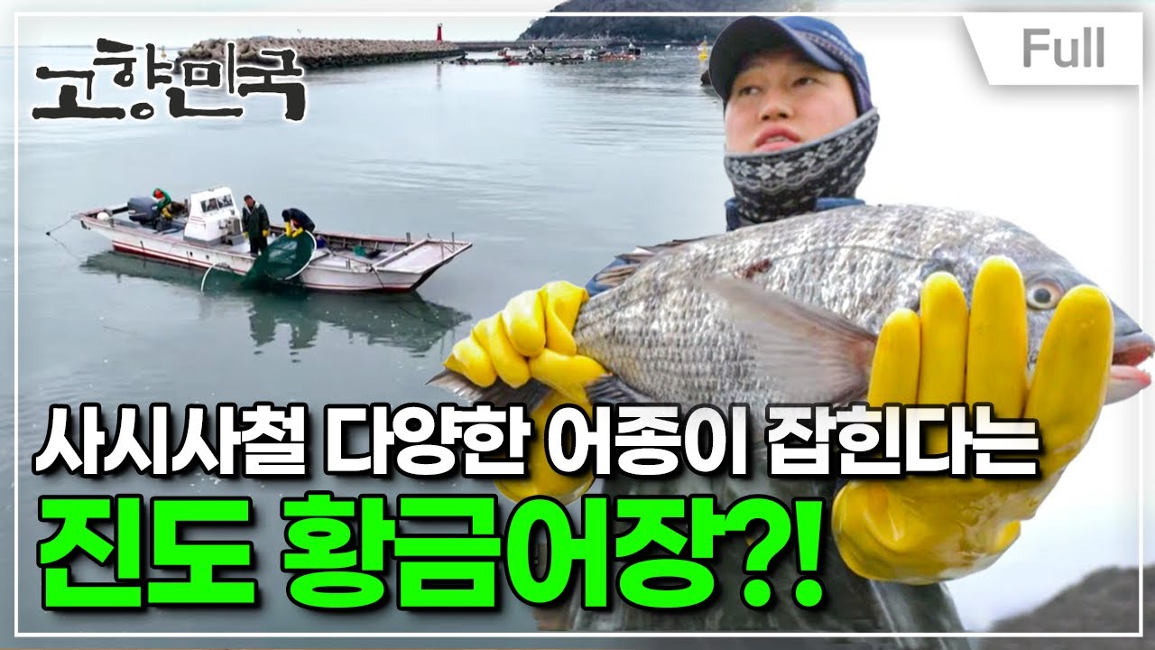 [Full] 고향민국 - 진도, 설레는 봄 바다