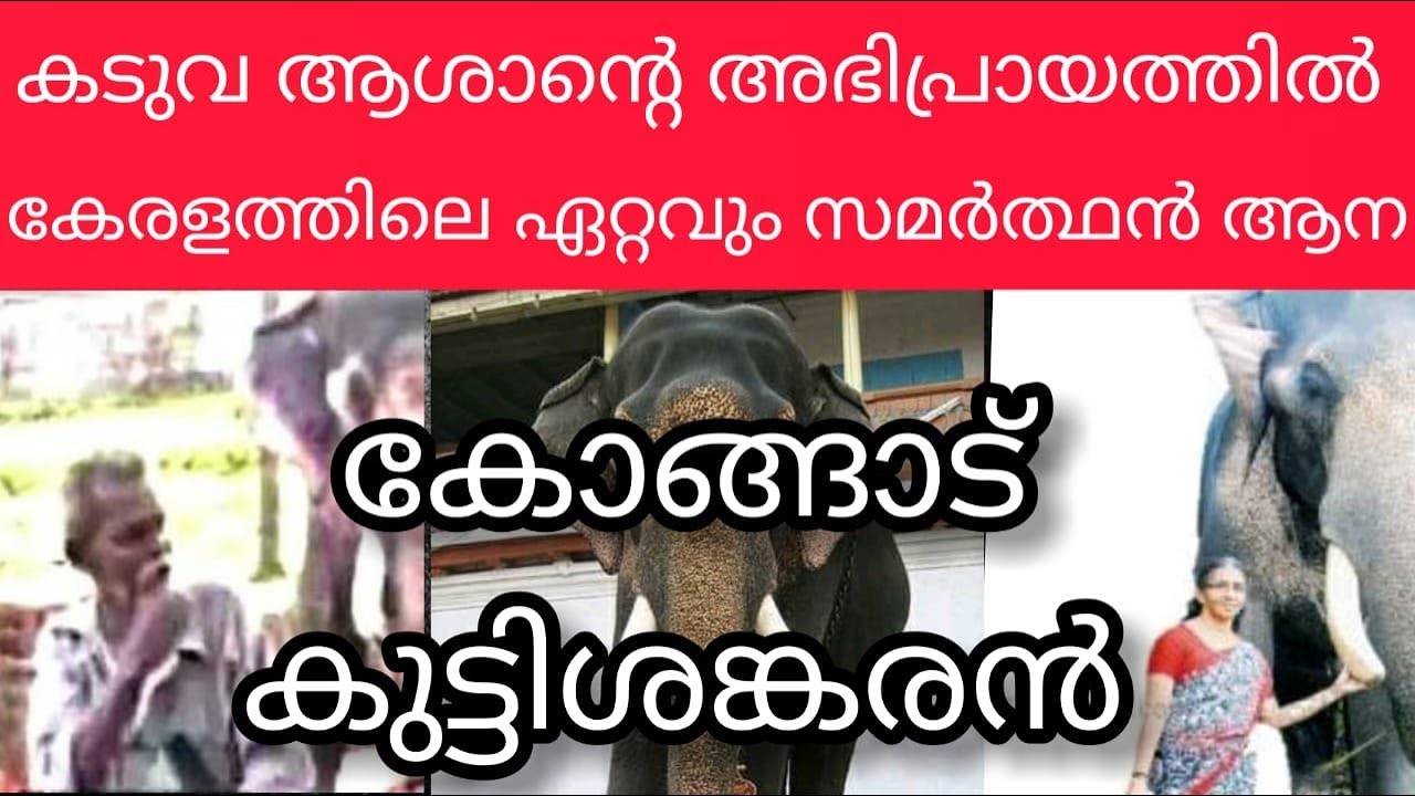 കോങ്ങാട് കുട്ടിശങ്കരൻ story | Kongad kuttysankaran story| kuttisankaran Kongad Death| Kuttishankaran