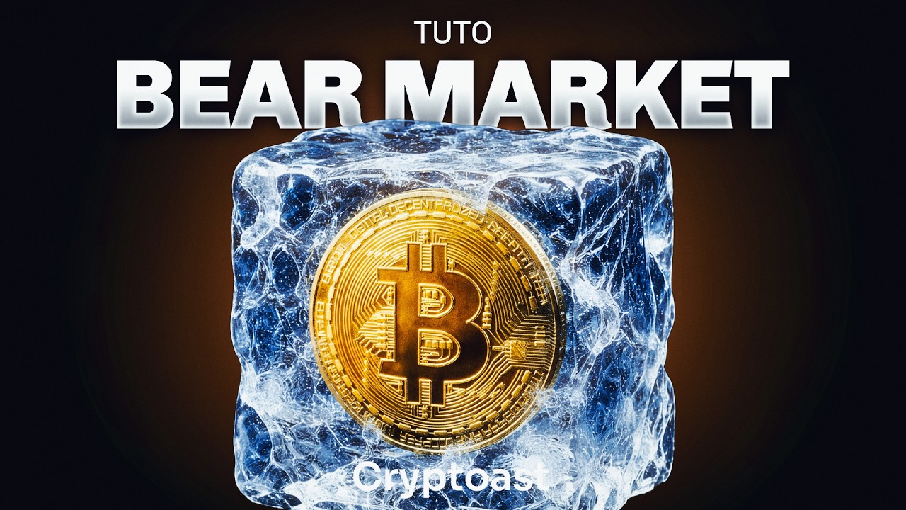 Les choses à faire quand la crypto baisse ?
