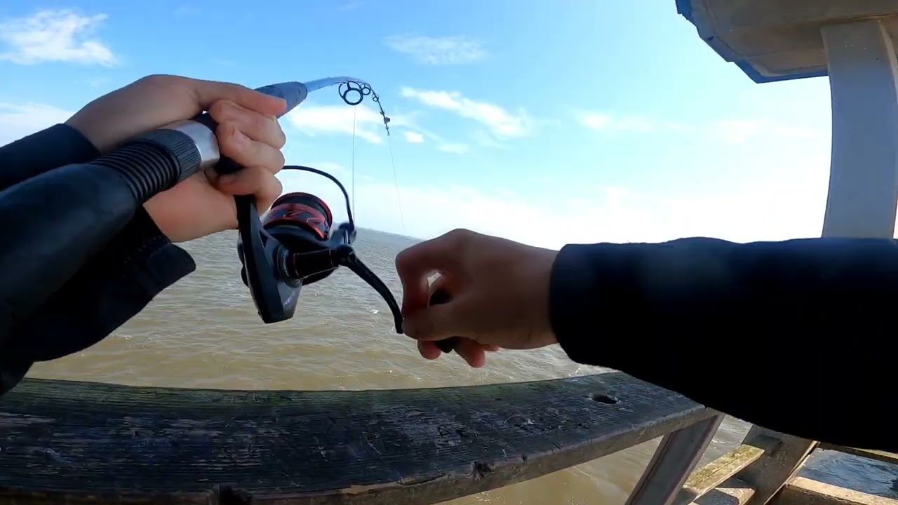 First Video at the Jekyll Island Fishing Pier!