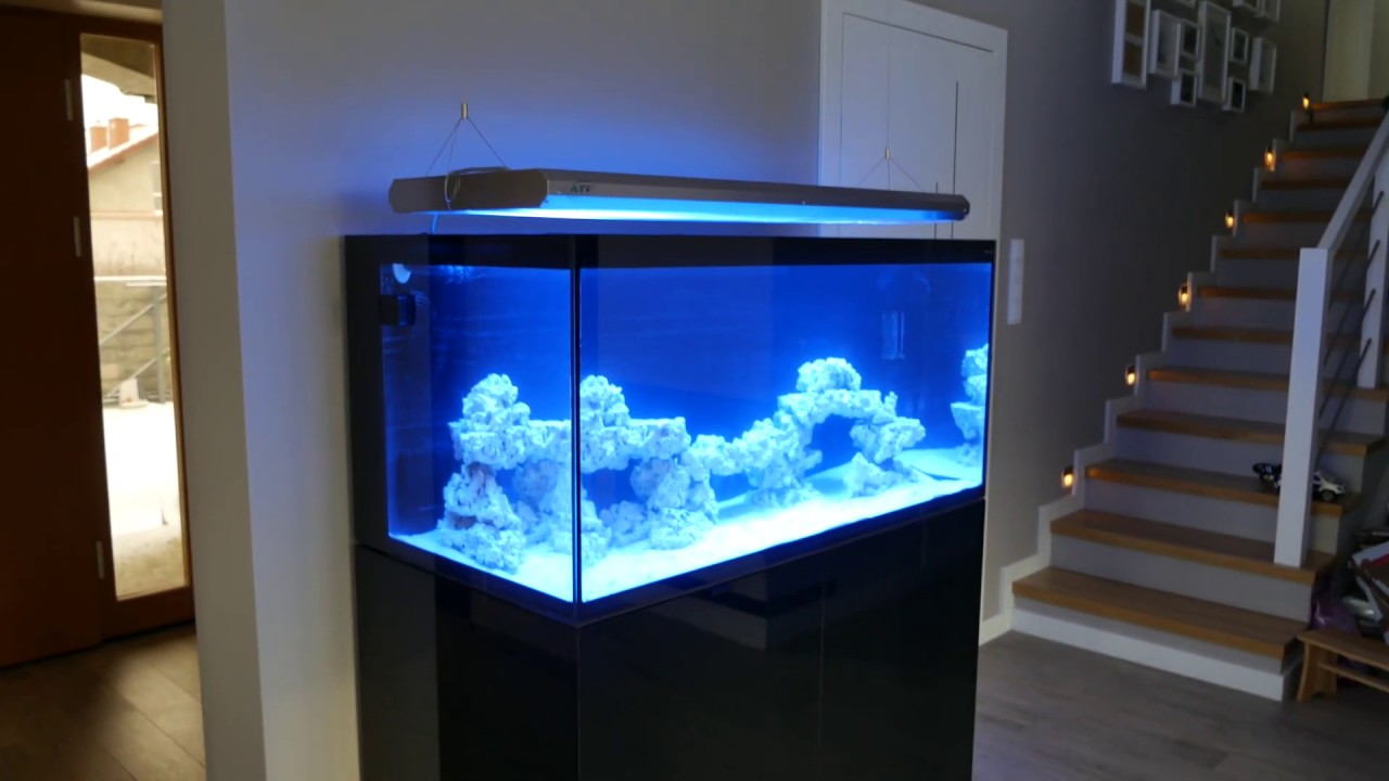 Akwarium morskie Aquael Glossy Marine Reef aquarium #6 start dojrzewanie