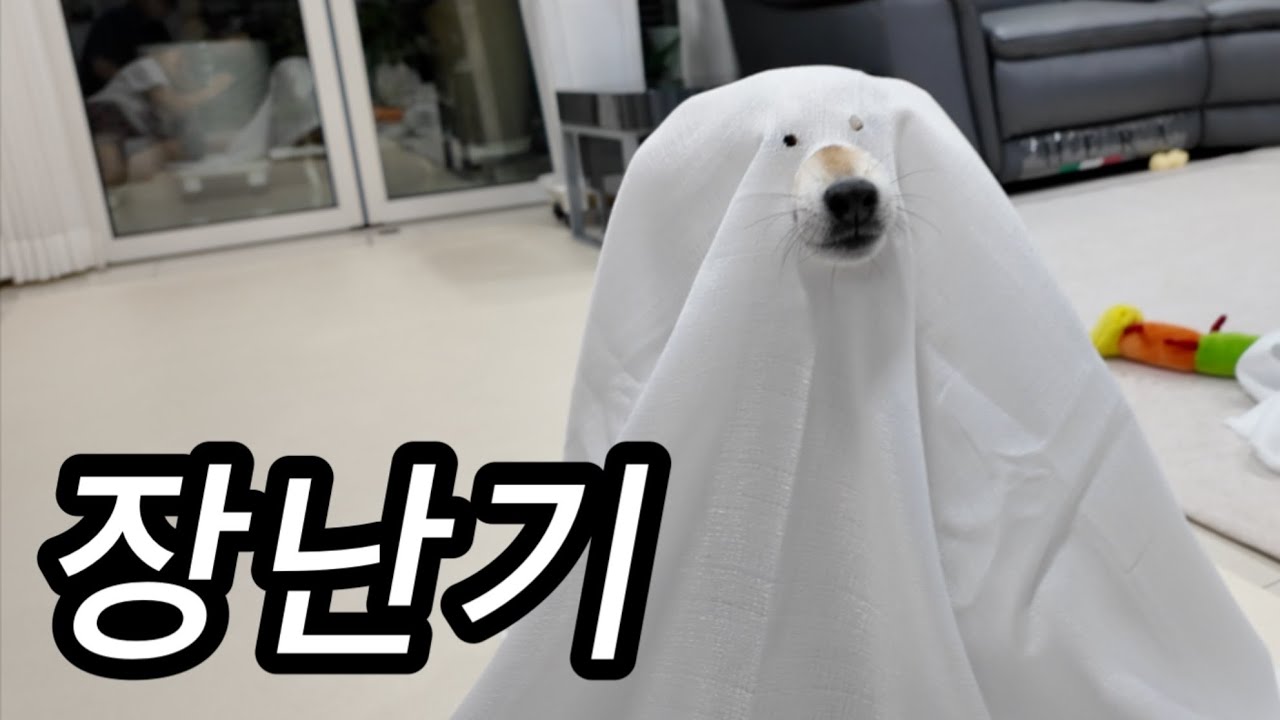 별거 아닌 것에도 웃겨죽는 사람들이 사는 집