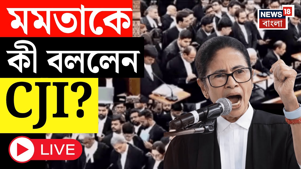 Mamata Banerjee LIVE | Supreme Court এ সওয়াল মমতার, মুখ্যমন্ত্রীকে কী বললেন CJI? SIR News LIVE