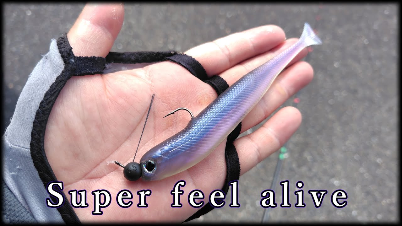【ヴィローラ6】最近おや？っと思う(良い意味)釣れ方をするデカミドストでfeel alive【Dストライカーヘッド】