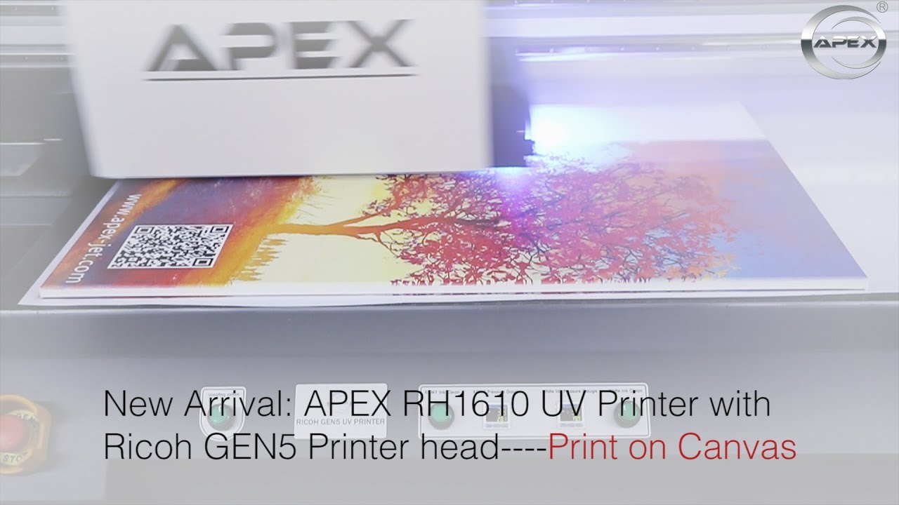 New Arrival: APEX RH1610 UV Printer with Ricoh GEN5 Printer head----Print on Canvas