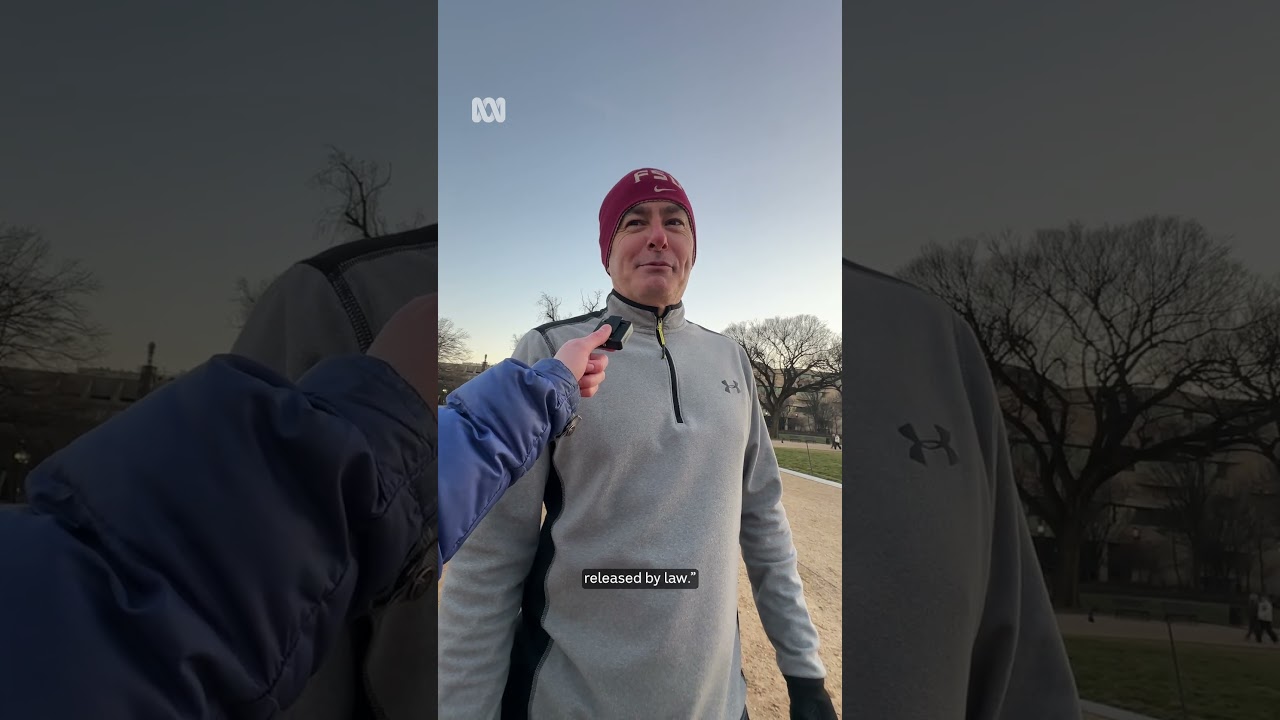Protest group puts up Epstein files artwork on Washington's National Mall | ABC NEWS