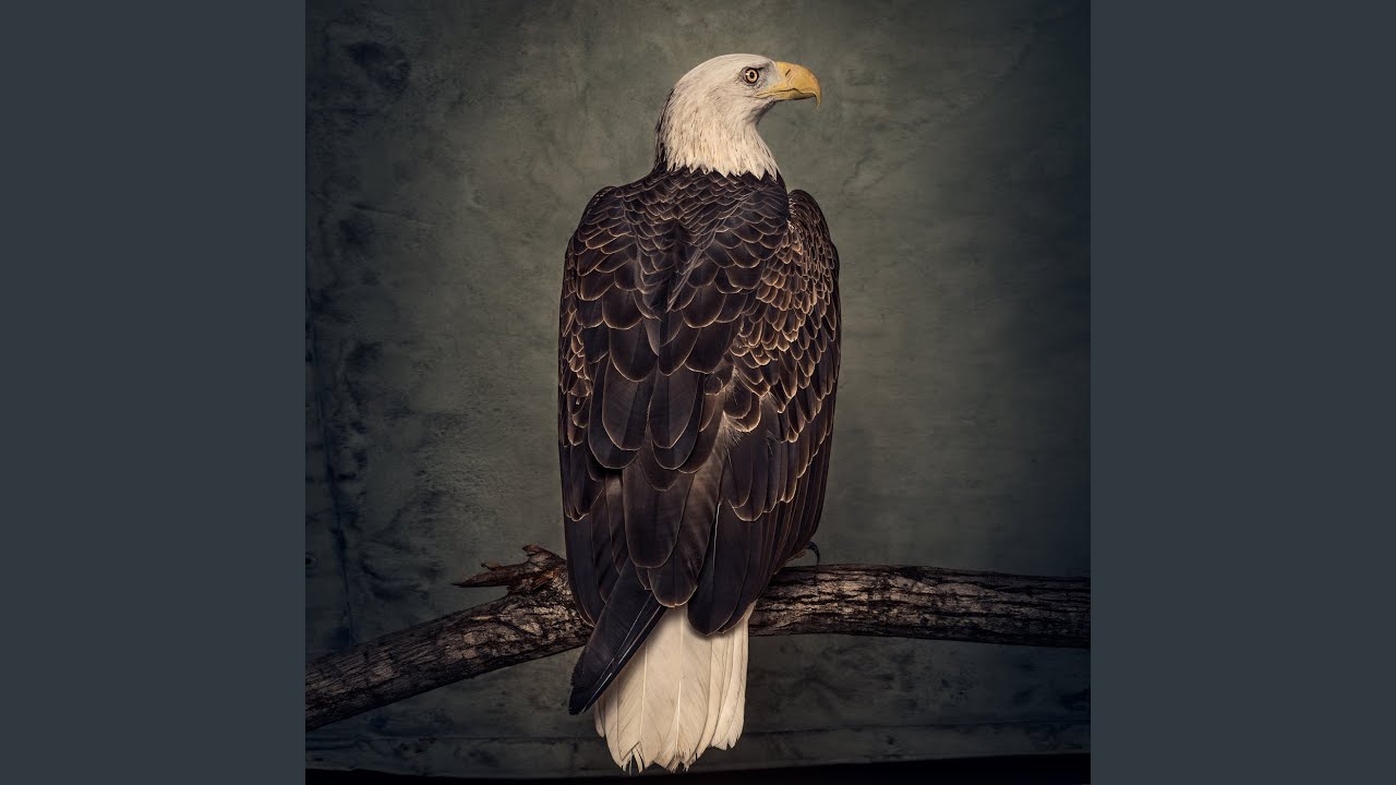 Spirit of '76