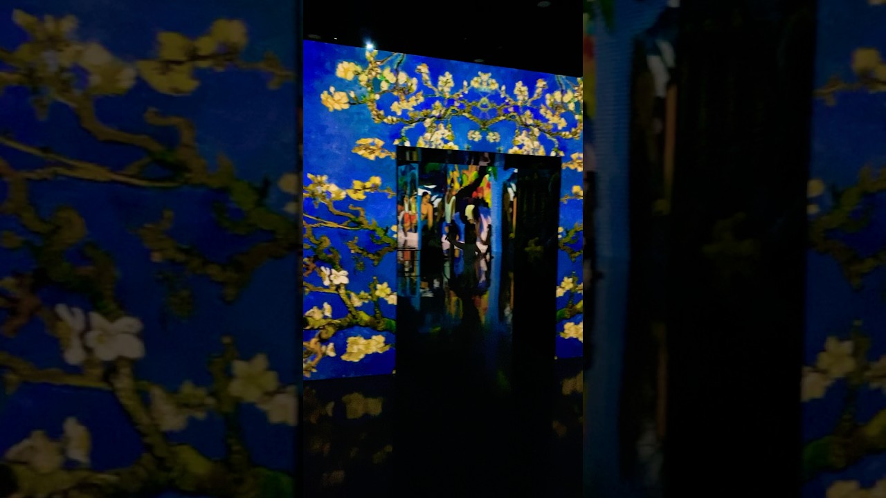 Immersive Art Wonderland.  #shorts #lasvegas #walkingtour #travelshorts #travel #vegas #travelusa