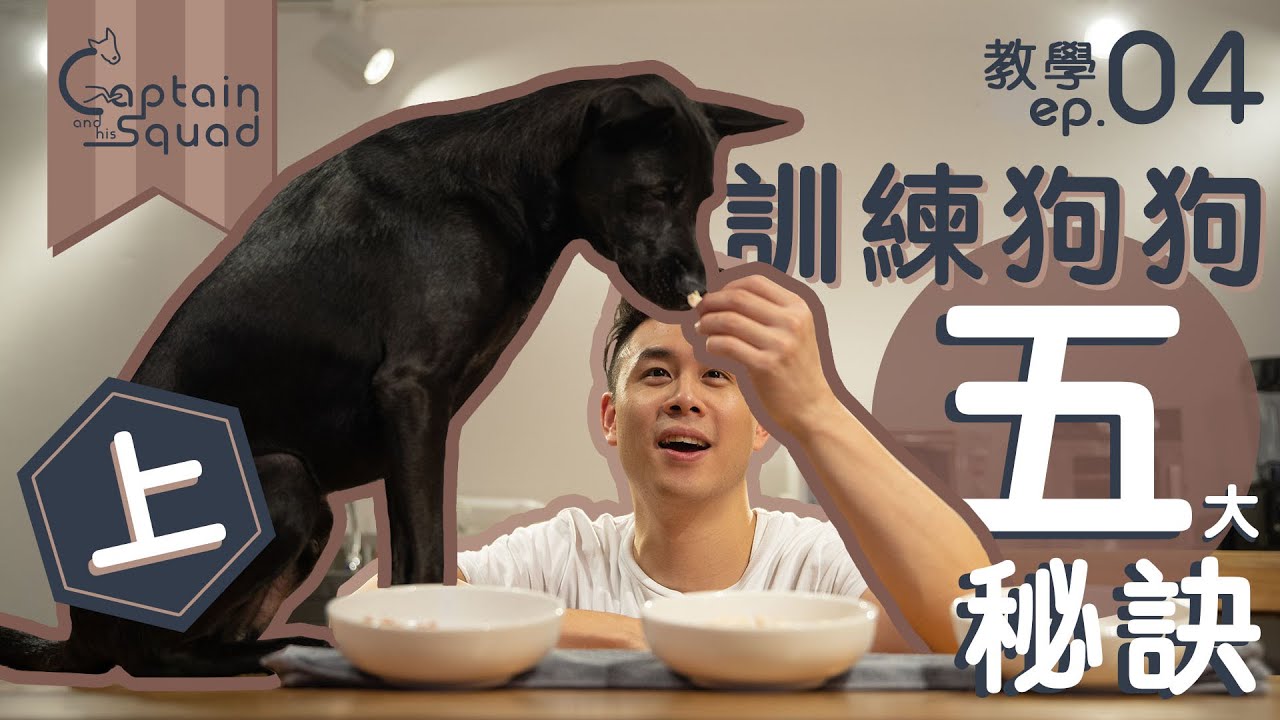 【 教學 ep.04 : 訓練狗狗最重要嘅五大工具同秘訣(上) 🐕🚶🏻‍♂️🥇️ 】狗主必備必學招式｜新手養狗全攻略｜寵物資訊一睇就明《Captain 狗隻訓練》(cc中英字幕)