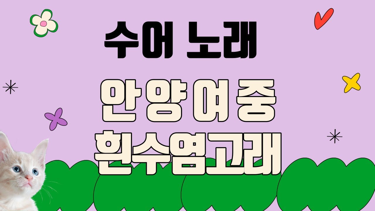 수어노래ㅣ 정은지- 흰수염고래, 안양여중