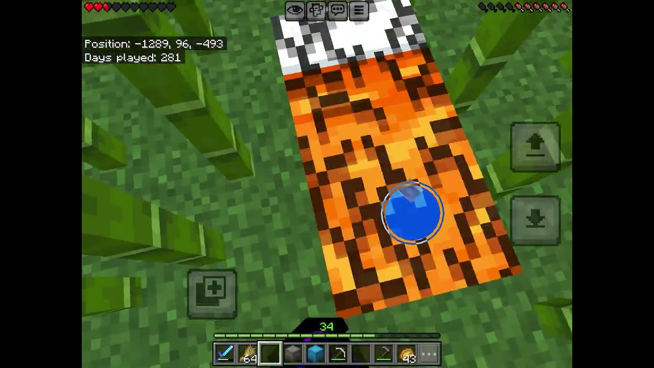 My little world (the beginning of wool wars)