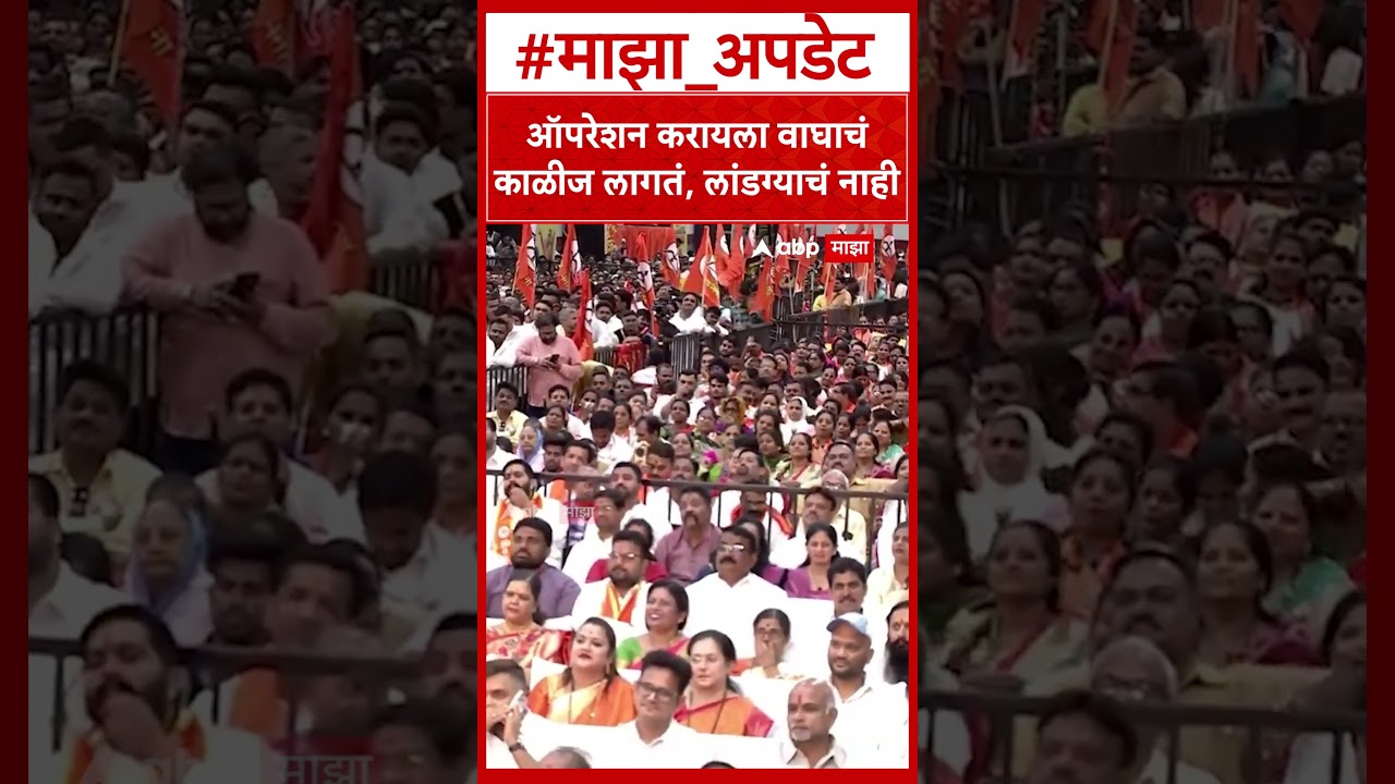 Eknath Shinde Vardhapan Din : ऑपरेशन करायला वाघाचं काळीज लागतं, लांडग्याचं नाही