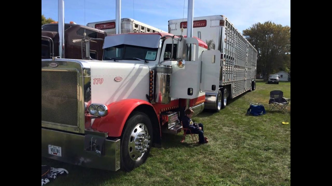 cow trucks n chicken trucks